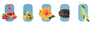 MemoDefend Ingredients
