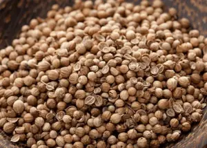 Coriander Seed