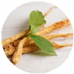 Panax-Ginseng-2