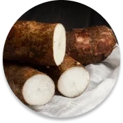 Wild yam root