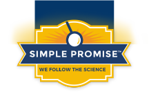 simple promise